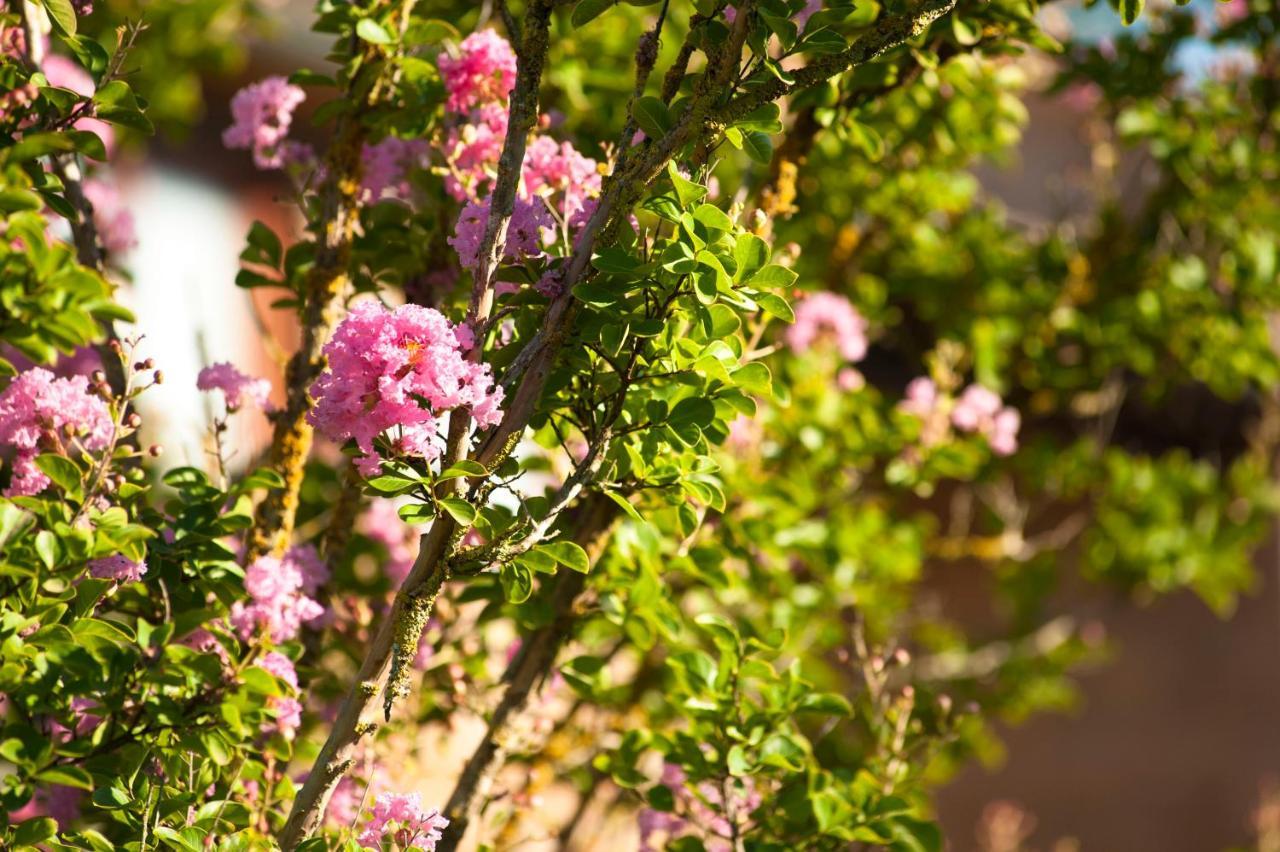 Agriturismo Cerqueto Acquapendente Eksteriør bilde