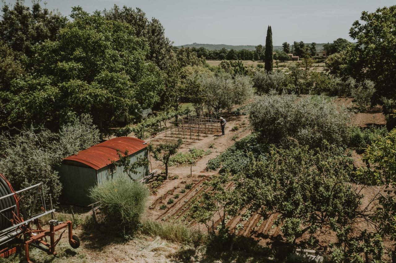 Agriturismo Cerqueto Acquapendente Eksteriør bilde